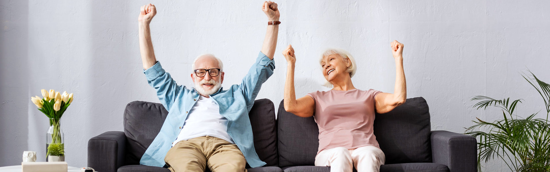 two cheerful elderly